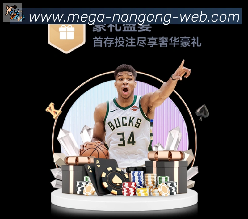 NG体育官网服务体系