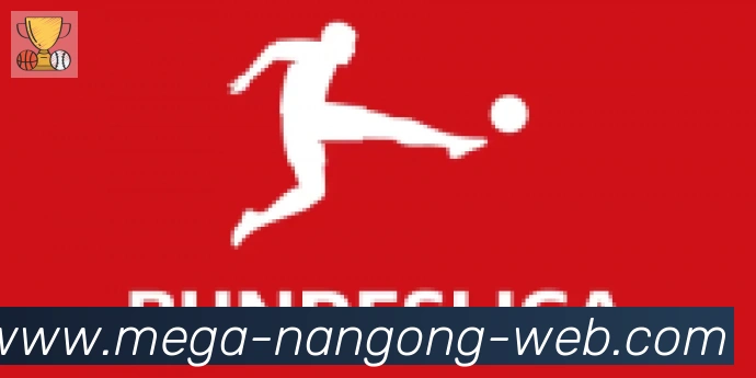 NG体育官网合作伙伴